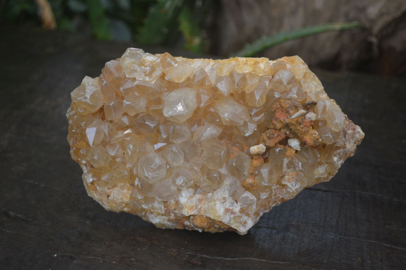 Natural Golden Limonite Quartz Clusters x 3 From Solwezi, Zambia - Toprock Gemstones and Minerals 