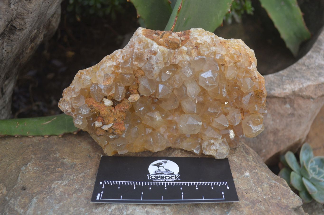 Natural Golden Limonite Quartz Clusters x 3 From Solwezi, Zambia - Toprock Gemstones and Minerals 