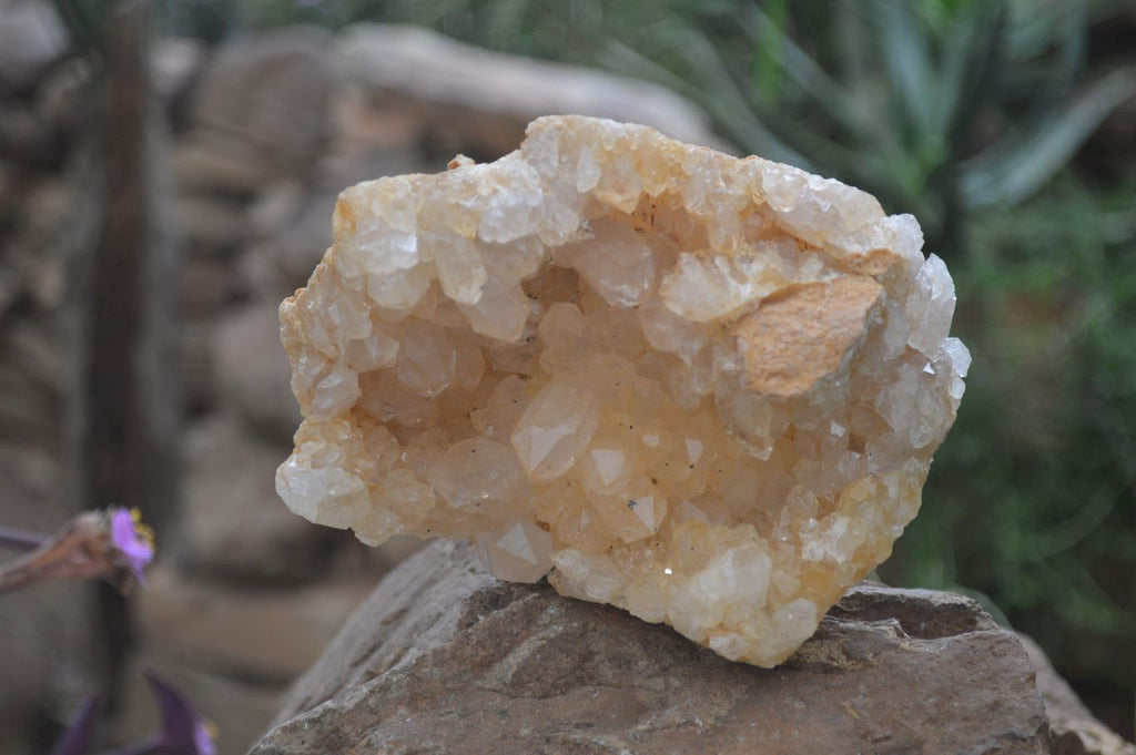 Natural Golden Limonite Quartz Clusters x 3 From Solwezi, Zambia - Toprock Gemstones and Minerals 