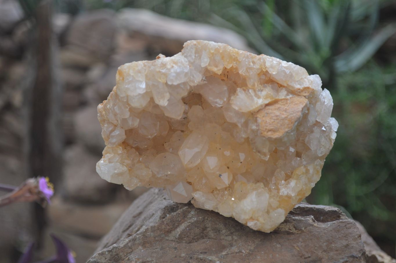 Natural Golden Limonite Quartz Clusters x 3 From Solwezi, Zambia - Toprock Gemstones and Minerals 
