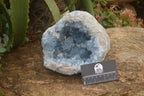 Natural XL Large Celestite Geode Specimen x 1 From Sakoany, Madagascar - Toprock Gemstones and Minerals 