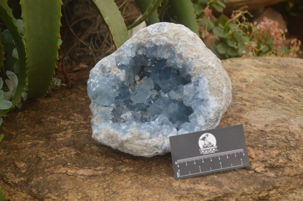 Natural XL Large Celestite Geode Specimen x 1 From Sakoany, Madagascar - Toprock Gemstones and Minerals 