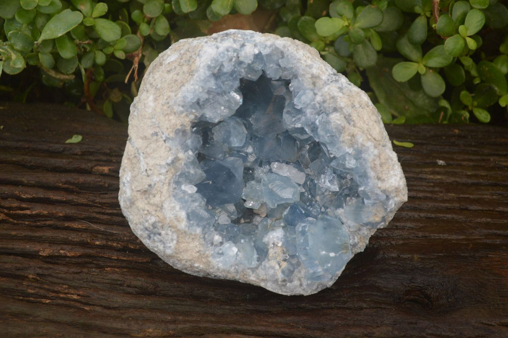 Natural XL Large Celestite Geode Specimen x 1 From Sakoany, Madagascar - Toprock Gemstones and Minerals 