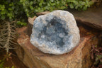 Natural XL Large Celestite Geode Specimen x 1 From Sakoany, Madagascar - Toprock Gemstones and Minerals 