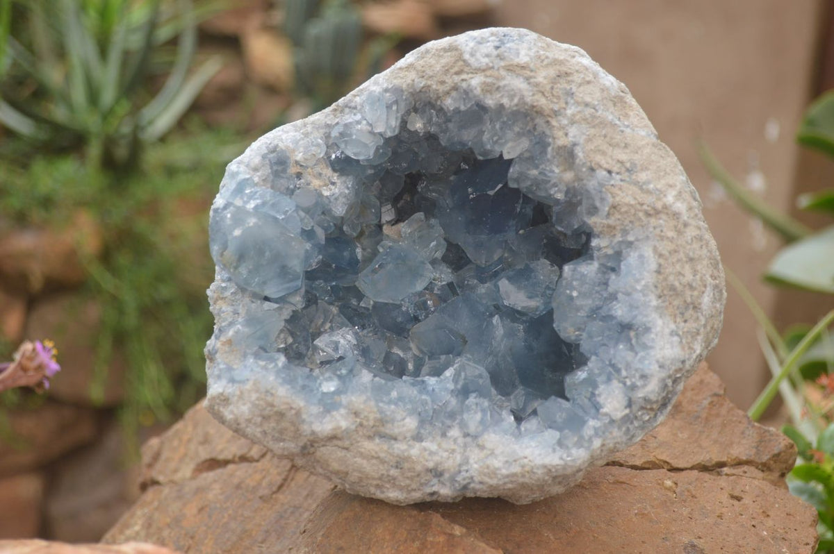Natural XL Large Celestite Geode Specimen x 1 From Sakoany, Madagascar - Toprock Gemstones and Minerals 