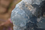 Natural XL Large Celestite Geode Specimen x 1 From Sakoany, Madagascar - Toprock Gemstones and Minerals 