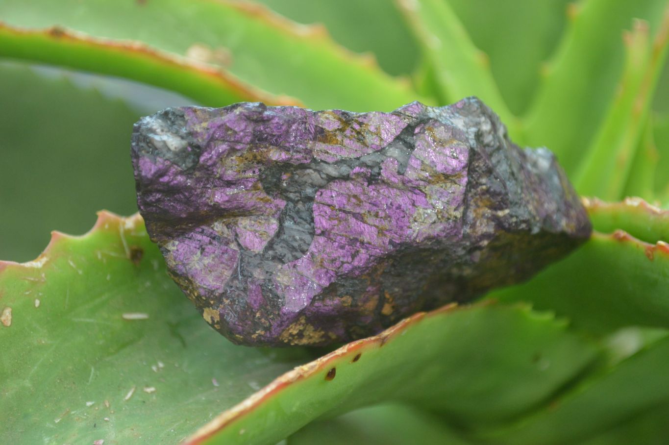 Natural Rare Metallic Purpurite Cobbed Specimens x 6 From Erongo, Namibia - Toprock Gemstones and Minerals 