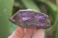 Natural Rare Metallic Purpurite Cobbed Specimens x 6 From Erongo, Namibia - Toprock Gemstones and Minerals 