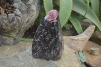 Polished Rhodonite Standing Free Form x 1 From Ambindavato, Madagascar - Toprock Gemstones and Minerals 