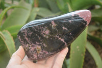 Polished Rhodonite Standing Free Form x 1 From Ambindavato, Madagascar - Toprock Gemstones and Minerals 