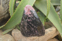 Polished Rhodonite Standing Free Form x 1 From Ambindavato, Madagascar - Toprock Gemstones and Minerals 