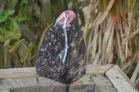 Polished Rhodonite Standing Free Form x 1 From Ambindavato, Madagascar - Toprock Gemstones and Minerals 