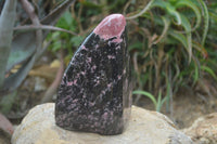 Polished Rhodonite Standing Free Form x 1 From Ambindavato, Madagascar - Toprock Gemstones and Minerals 