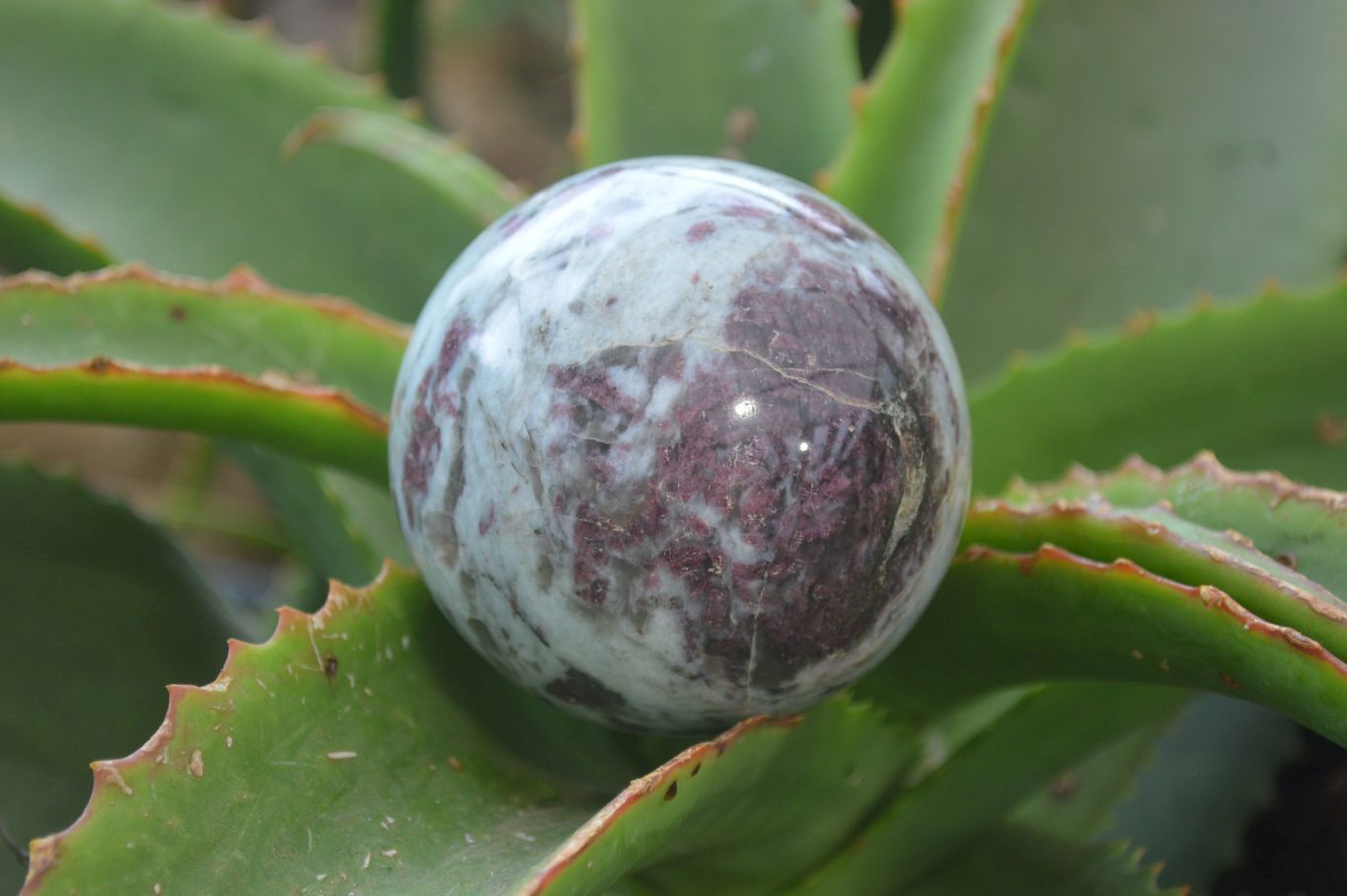 Polished Rubellite Pink Tourmaline Spheres x 3 From Ambatondrazaka, Madagascar - Toprock Gemstones and Minerals 