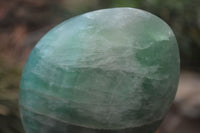 Polished Green Fluorite Standing Free Forms x 2 From Madagascar
