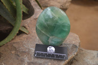 Polished Green Fluorite Standing Free Forms x 2 From Madagascar