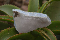 Natural Crystalline Blue Lace Agate Specimens x 2 From Namibia - Toprock Gemstones and Minerals 