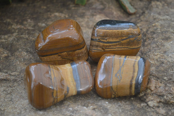 Polished Tiger's Eye Free Forms x 4 From Prieska, South Africa
