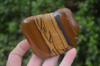 Polished Tiger's Eye Free Forms x 4 From Prieska, South Africa