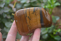 Polished Tiger's Eye Free Forms x 4 From Prieska, South Africa