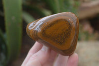 Polished Tiger's Eye Free Forms x 4 From Prieska, South Africa
