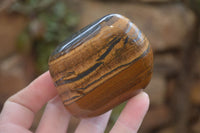 Polished Tiger's Eye Free Forms x 4 From Prieska, South Africa