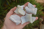 Natural Etched Blue Chalcedony Specimens x 24 From Nsanje, Malawi - Toprock Gemstones and Minerals 