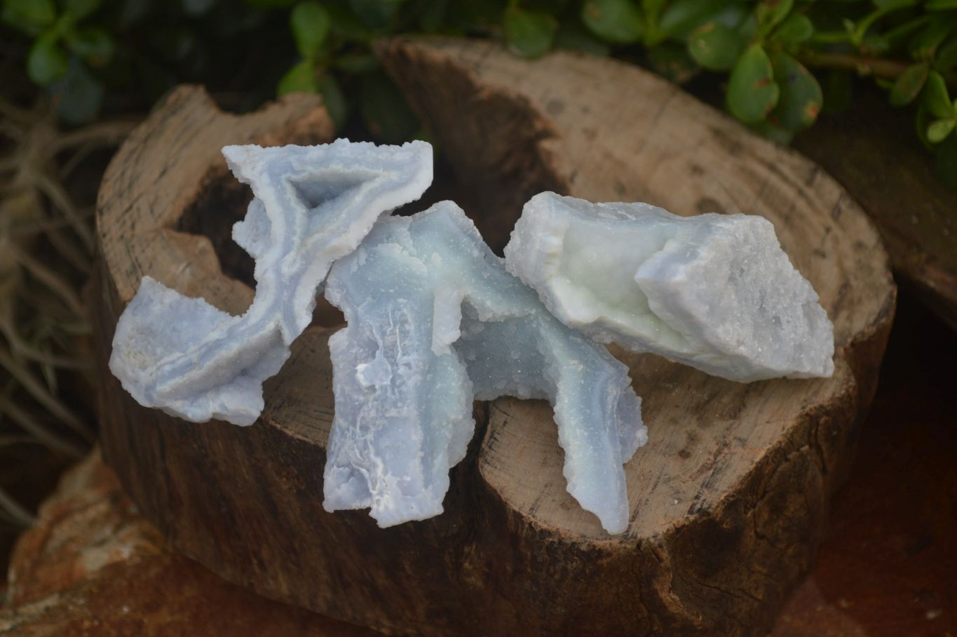 Natural Etched Blue Chalcedony Specimens x 24 From Nsanje, Malawi - Toprock Gemstones and Minerals 