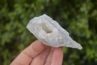 Natural Etched Blue Chalcedony Specimens x 24 From Nsanje, Malawi - Toprock Gemstones and Minerals 