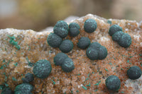 Natural Ball Malachite with Drusy Quartz on Dolomite Matrix Specimens x 2 From Mindingi Mine, Kambove, Congo - Toprock Gemstones and Minerals 