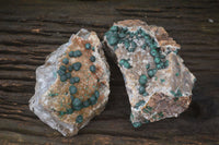 Natural Ball Malachite with Drusy Quartz on Dolomite Matrix Specimens x 2 From Mindingi Mine, Kambove, Congo - Toprock Gemstones and Minerals 