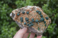 Natural Ball Malachite with Drusy Quartz on Dolomite Matrix Specimens x 2 From Mindingi Mine, Kambove, Congo - Toprock Gemstones and Minerals 