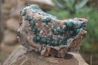 Natural Ball Malachite with Drusy Quartz on Dolomite Matrix Specimens x 2 From Mindingi Mine, Kambove, Congo - Toprock Gemstones and Minerals 