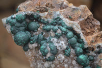 Natural Ball Malachite with Drusy Quartz on Dolomite Matrix Specimens x 2 From Mindingi Mine, Kambove, Congo - Toprock Gemstones and Minerals 