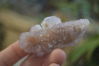Natural Amethyst Spirit Quartz Clusters x 20 From Boekenhouthoek, South Africa - Toprock Gemstones and Minerals 