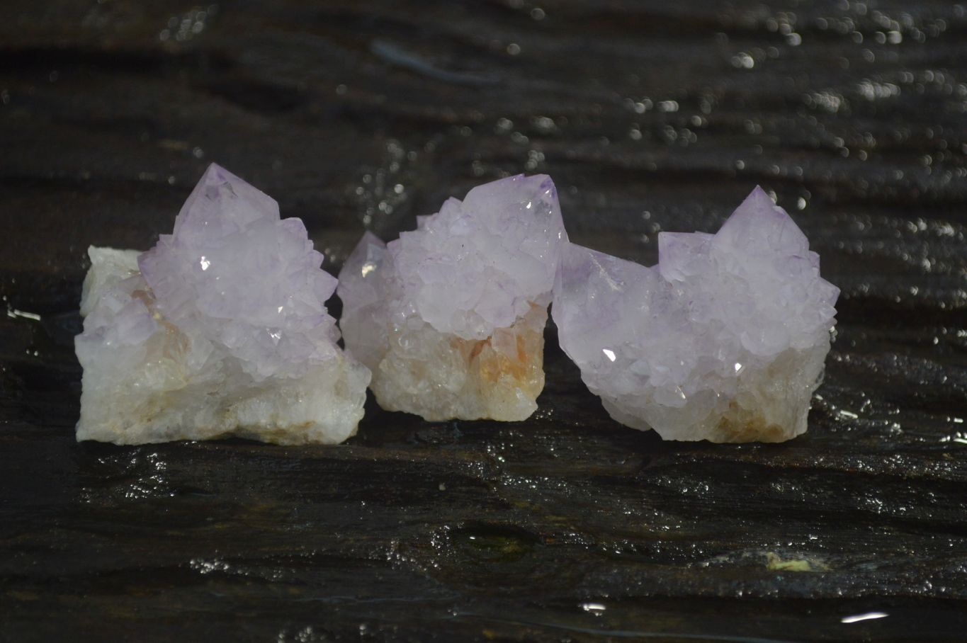 Natural Amethyst Spirit Quartz Clusters x 20 From Boekenhouthoek, South Africa - Toprock Gemstones and Minerals 