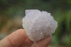 Natural Amethyst Spirit Quartz Clusters x 20 From Boekenhouthoek, South Africa - Toprock Gemstones and Minerals 