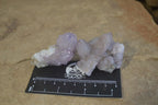 Natural Amethyst Spirit Quartz Clusters x 20 From Boekenhouthoek, South Africa - Toprock Gemstones and Minerals 