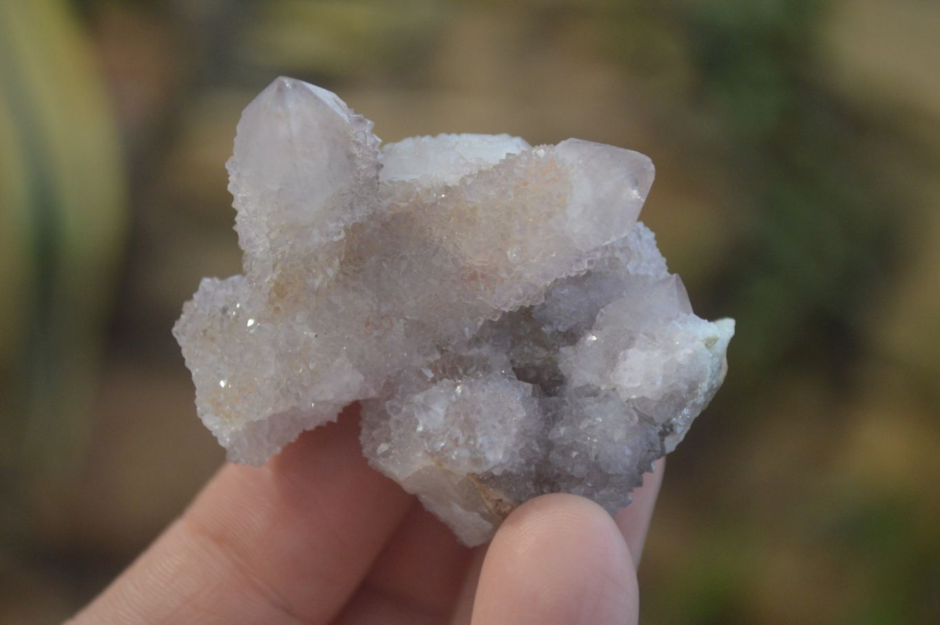 Natural Amethyst Spirit Quartz Clusters x 20 From Boekenhouthoek, South Africa - Toprock Gemstones and Minerals 