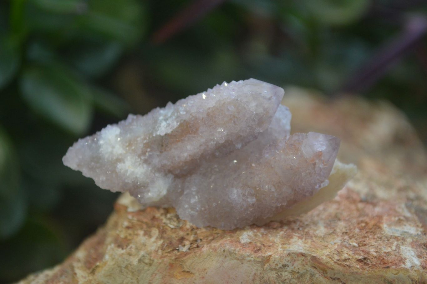 Natural Amethyst Spirit Quartz Clusters x 20 From Boekenhouthoek, South Africa - Toprock Gemstones and Minerals 