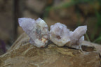 Natural Amethyst Spirit Quartz Clusters x 20 From Boekenhouthoek, South Africa - Toprock Gemstones and Minerals 