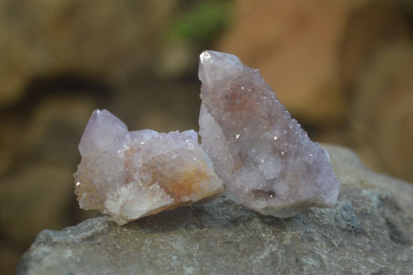 Natural Amethyst Spirit Quartz Clusters x 20 From Boekenhouthoek, South Africa - Toprock Gemstones and Minerals 