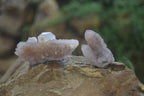 Natural Amethyst Spirit Quartz Clusters x 20 From Boekenhouthoek, South Africa - Toprock Gemstones and Minerals 