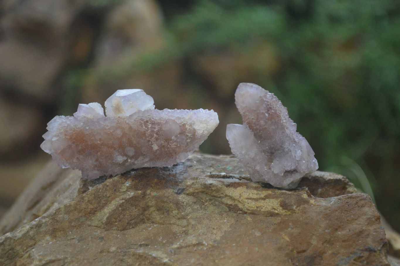 Natural Amethyst Spirit Quartz Clusters x 20 From Boekenhouthoek, South Africa - Toprock Gemstones and Minerals 