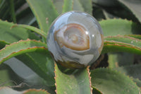 Polished Polychrome Jasper Spheres x 2 From Madagascar - Toprock Gemstones and Minerals 