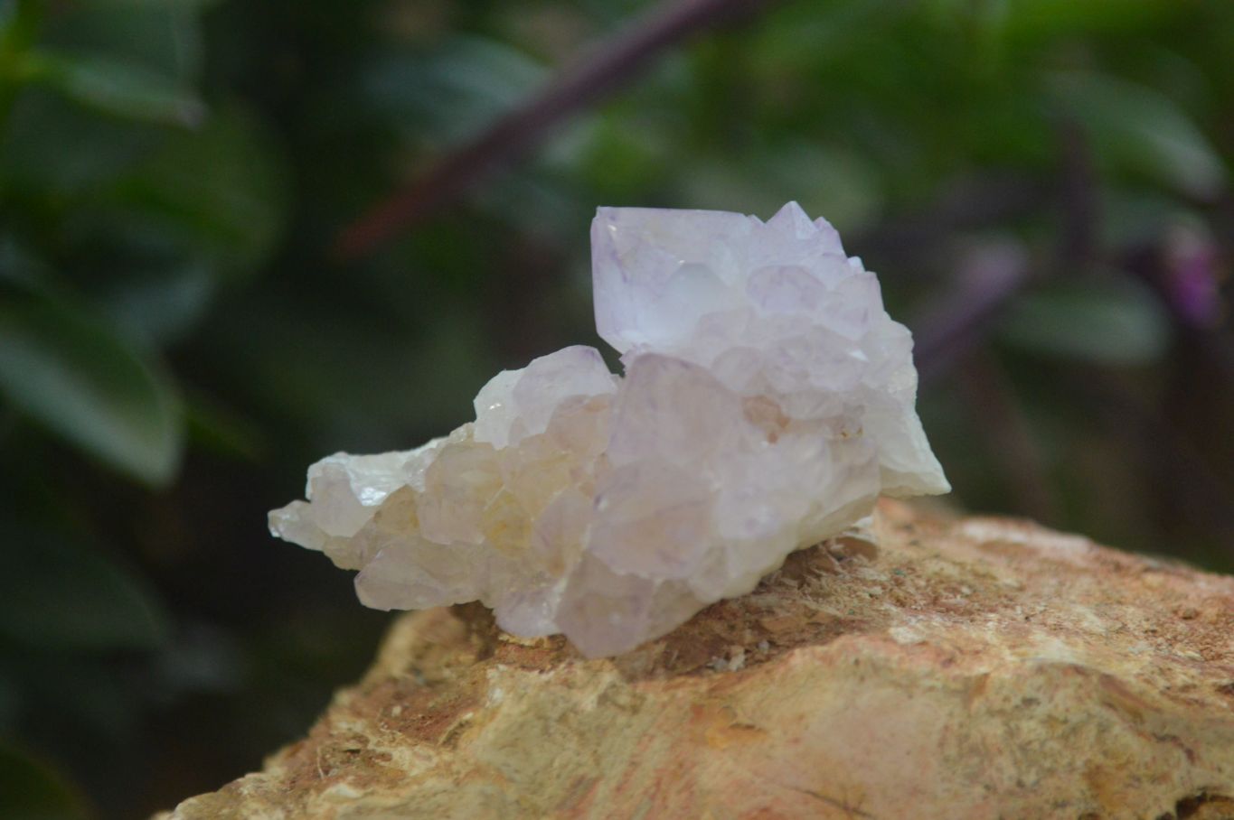 Natural Amethyst Spirit Quartz Crystals x 24 From Boekenhouthoek, South Africa - Toprock Gemstones and Minerals 