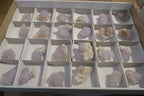 Natural Amethyst Spirit Quartz Crystals x 24 From Boekenhouthoek, South Africa - Toprock Gemstones and Minerals 