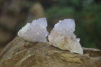 Natural Amethyst Spirit Quartz Crystals x 24 From Boekenhouthoek, South Africa - Toprock Gemstones and Minerals 