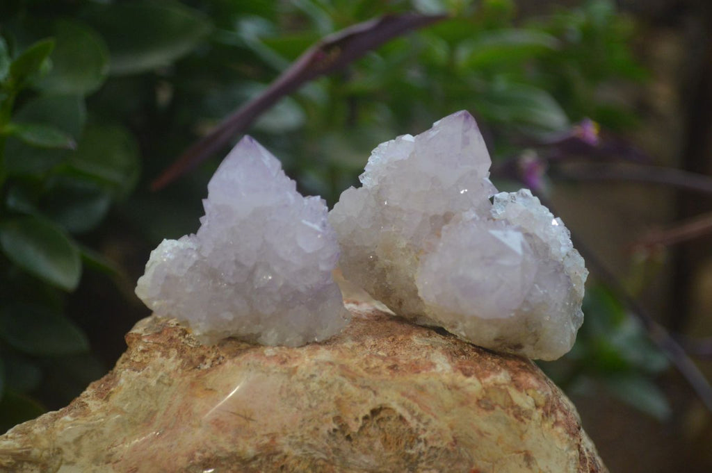Natural Amethyst Spirit Quartz Crystals x 24 From Boekenhouthoek, South Africa - Toprock Gemstones and Minerals 