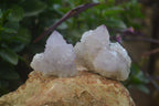 Natural Amethyst Spirit Quartz Crystals x 24 From Boekenhouthoek, South Africa - Toprock Gemstones and Minerals 